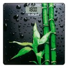 Scarlett SC-BS33E051