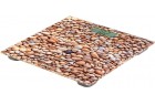 Sencor SBS 2302SN
