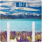 Scarlett SC-BS33ED11