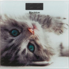 Blackton Bt BS1012 котенок