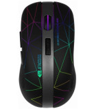 Jet.A OM-R53G LED USB черный