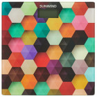 SunWind SSB053