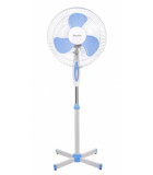 Blackton Bt F1111 White-Blue