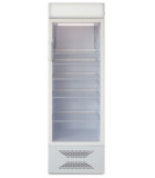 Бирюса M310P металлик
