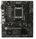MSI PRO A620M-E