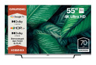 Grundig 55NanoGH8100