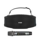 W-King X10+ (One mic)