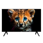 Topdevice TDTV55ES13U_BK