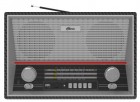 Ritmix RPR-102